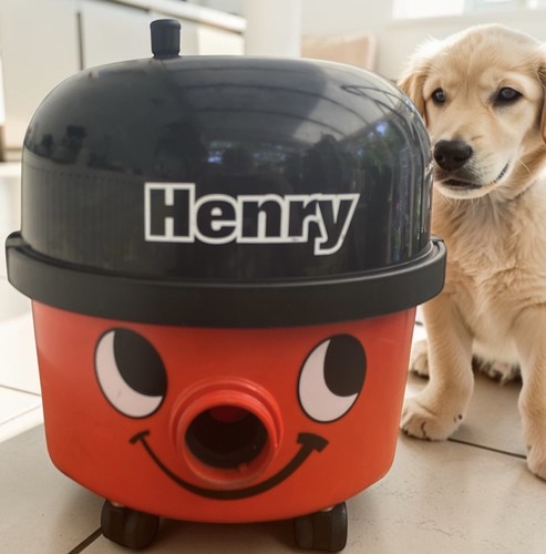 Machine only henry hoover - only.henry/hoover., new